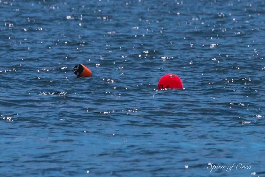 crab buoy toys