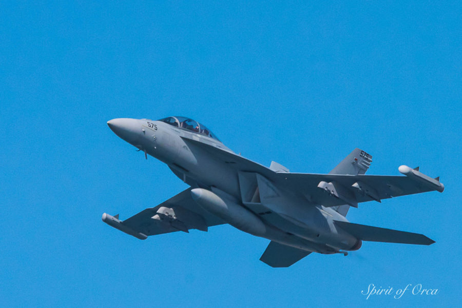 F18 Super Hornet