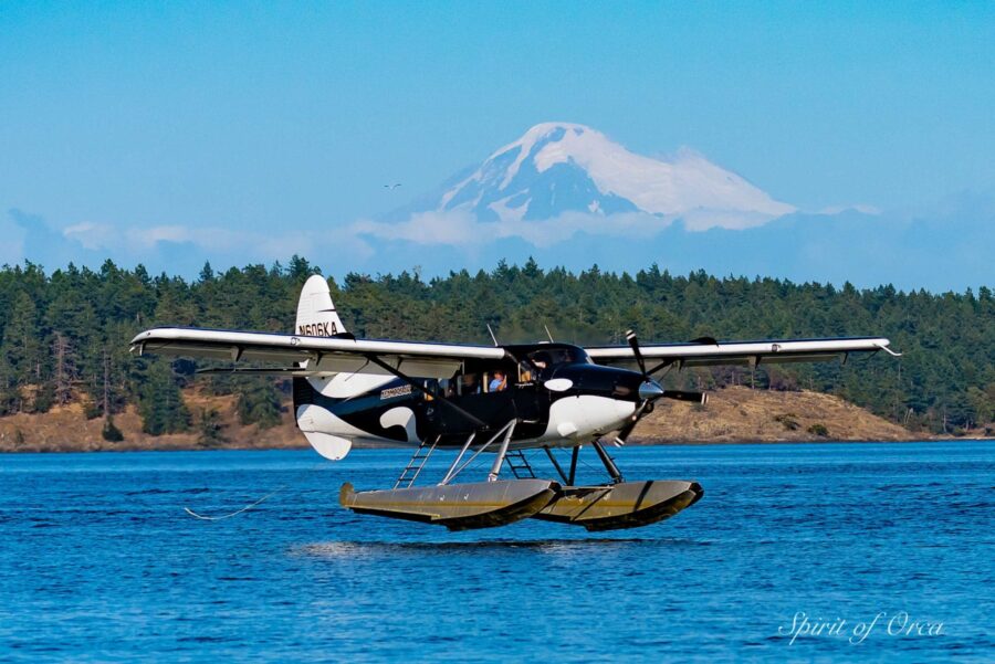 flying orca