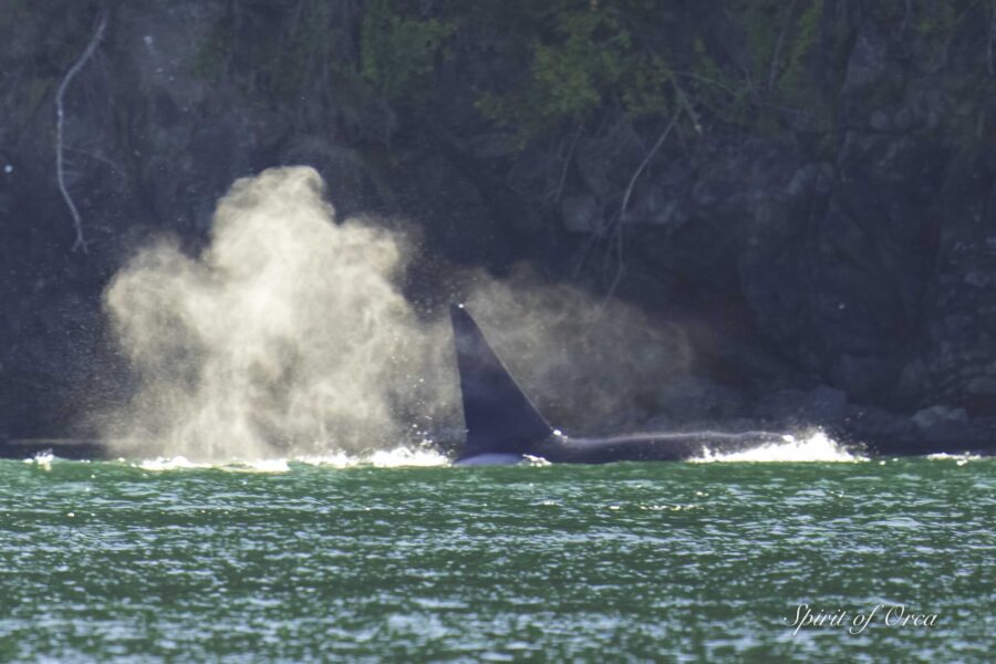 T18s/19s in Rosario Strait